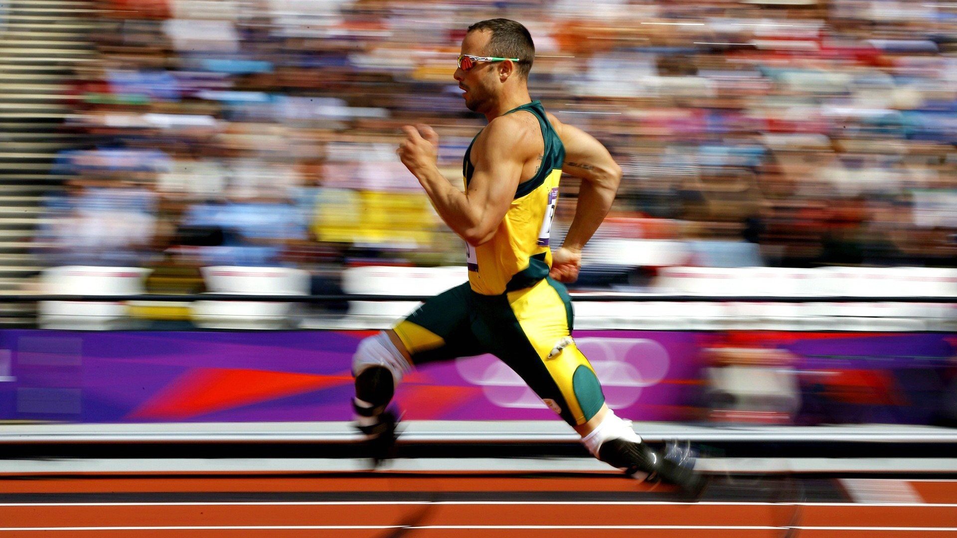 赛场外的争议：裁判判罚引发的热议与反思，关于赛场外的作文